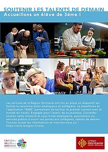 Site de Cauvaldor Affiche